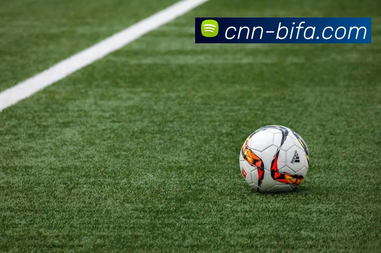 BIFA必发官网平台生态图