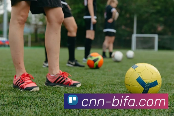 BIFA必发官网APP 封面图